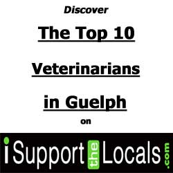 best veterinarians in guelph