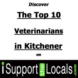 who is the best veterinarian in Kitchener