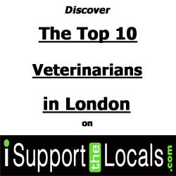 who is the best veterinarian in London